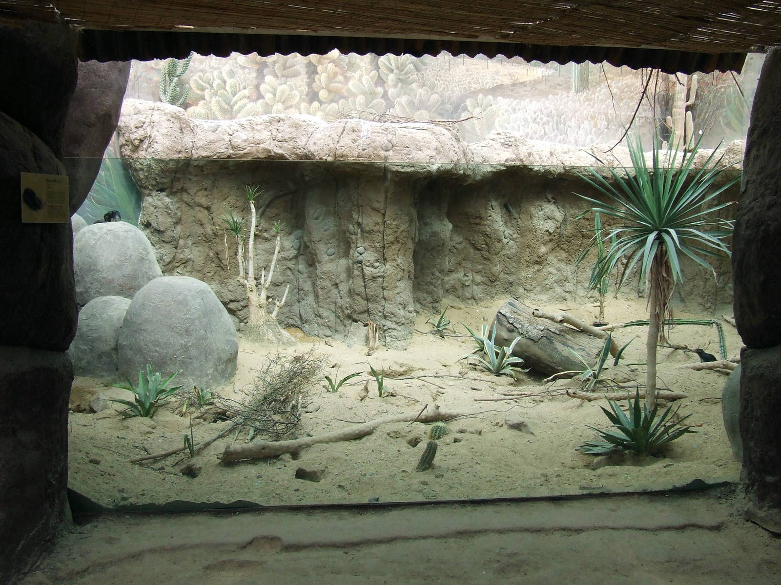 Variegated Rock Squirrel exhibit, Oceanium