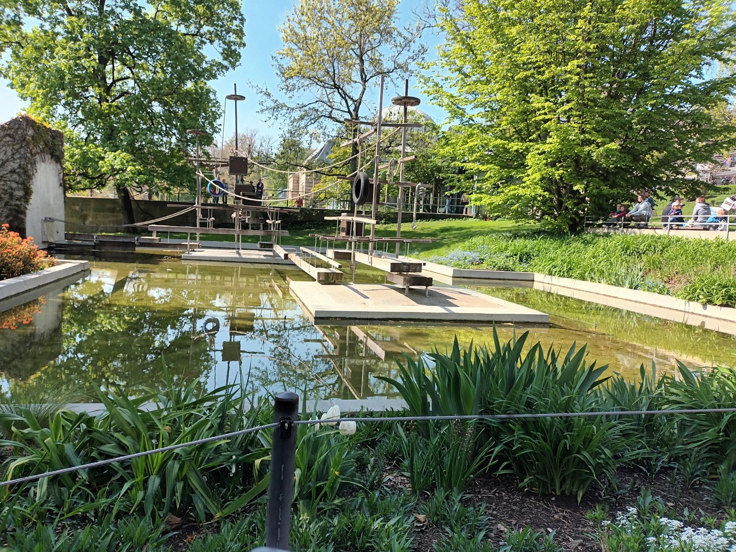 Variegated Spider Monkey Island