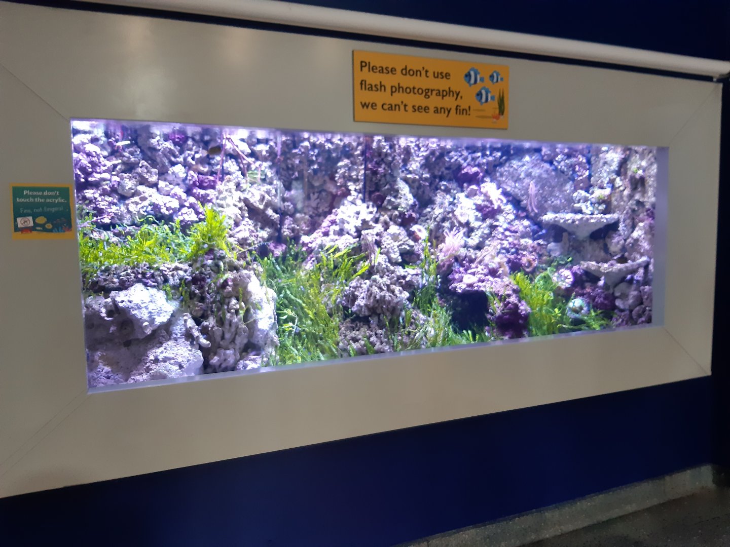 'Variety of Life' Exhibit