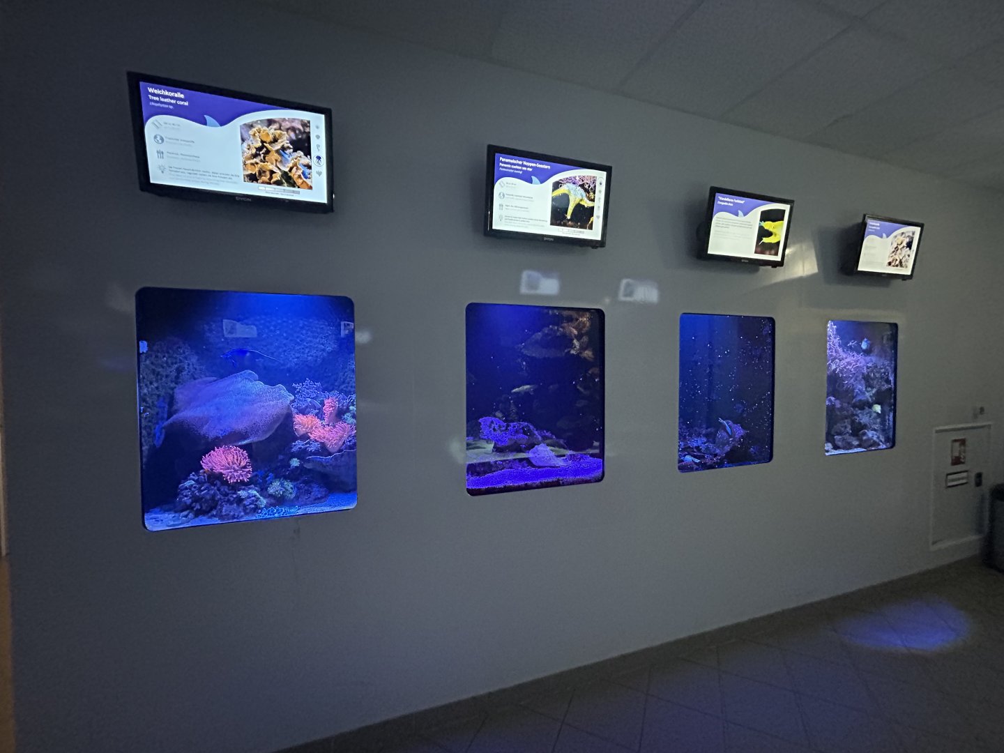 Various Aquarium Tanks