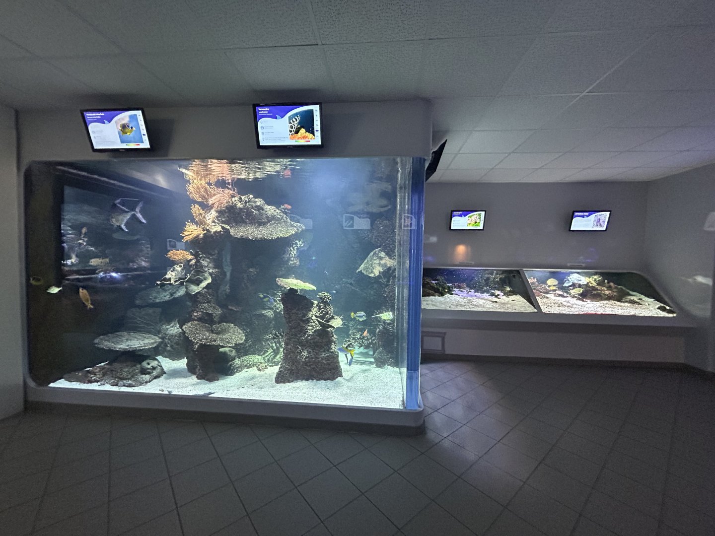 Various Aquarium Tanks