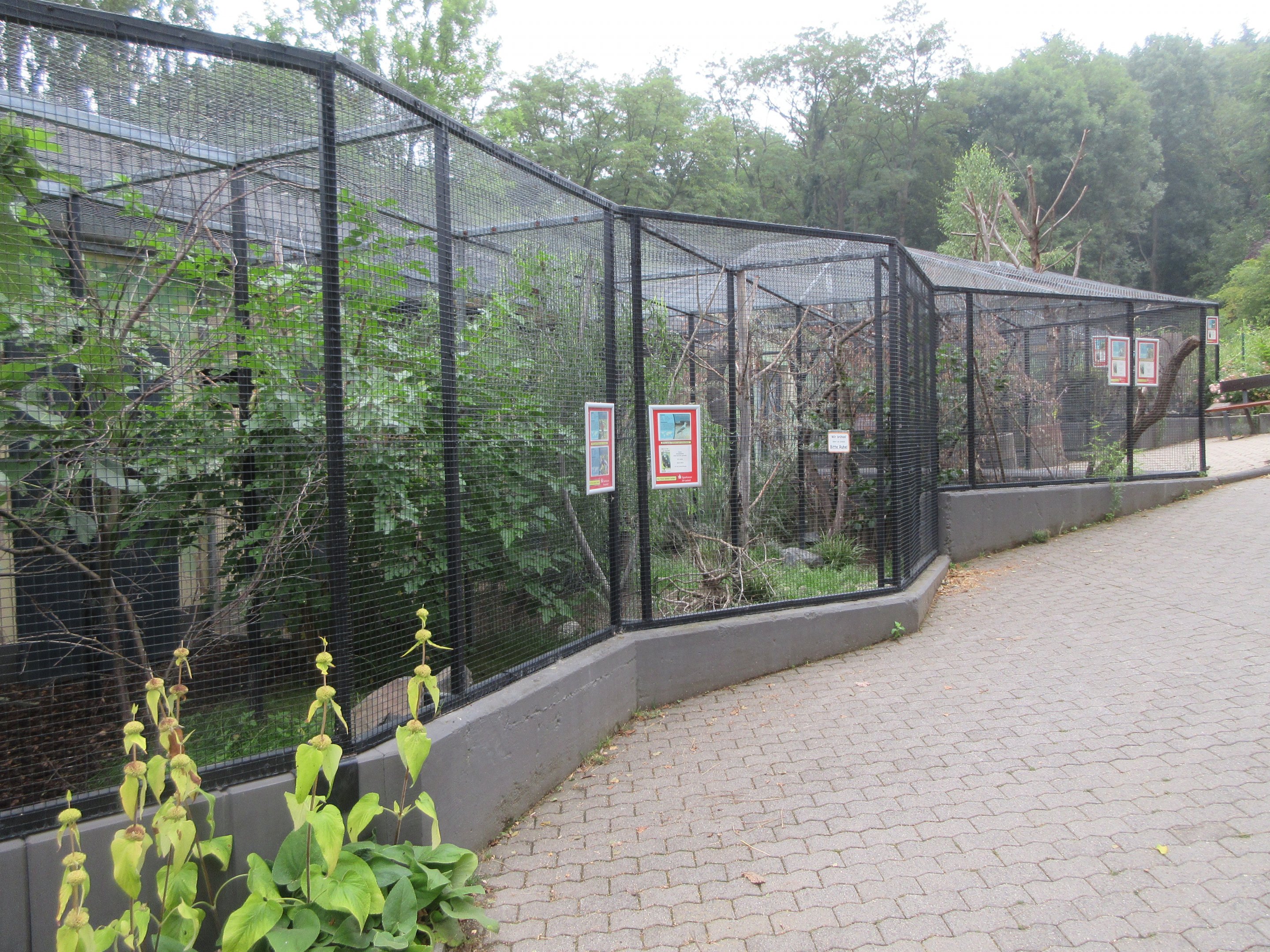 Various Aviaries
