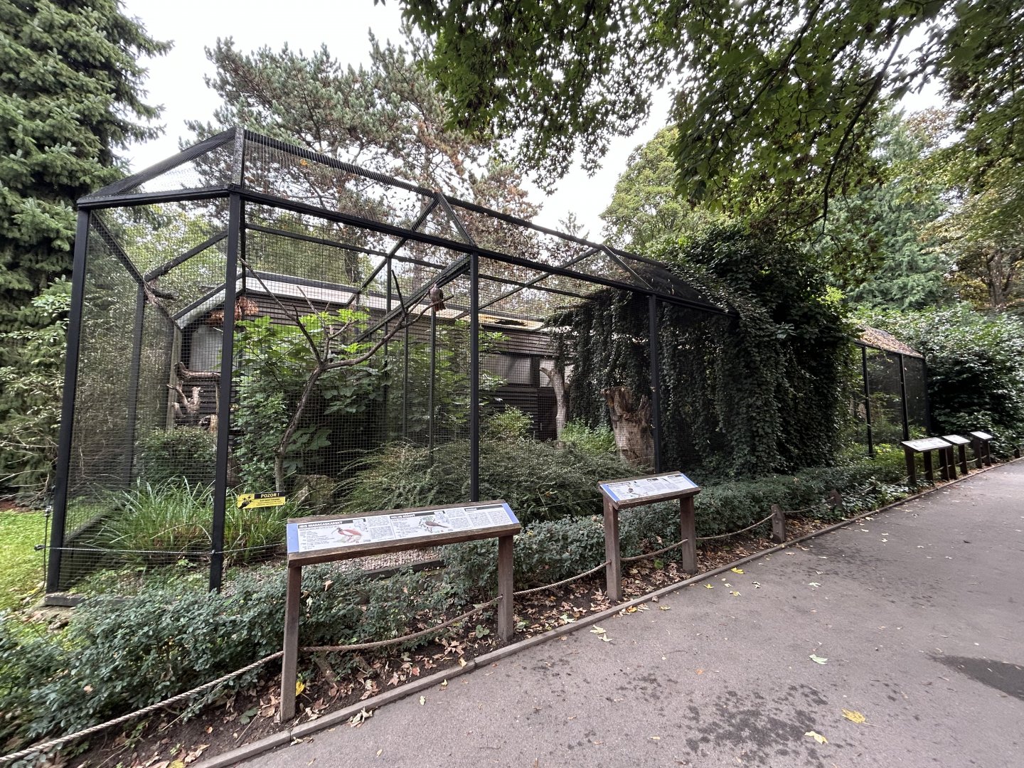 Various Aviaries