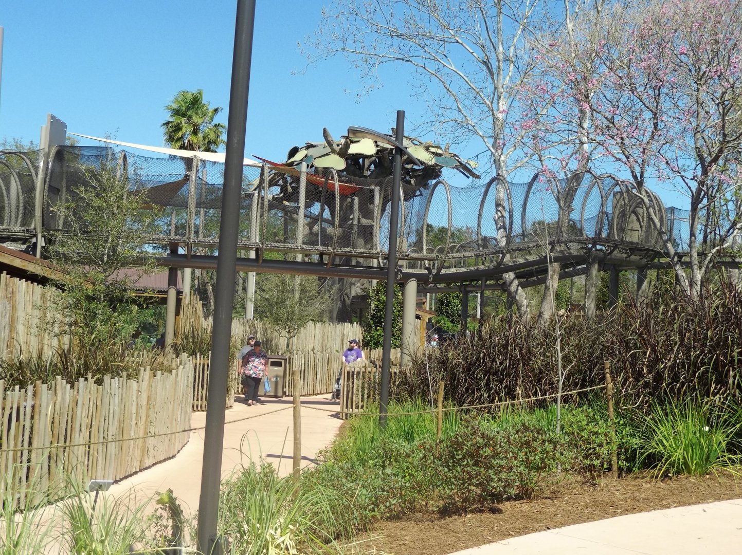 Various elevated trails for primates leading to Kapok Tree