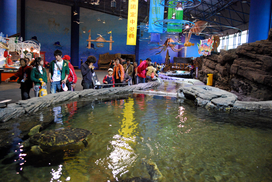 Various Exhibits at the beijing aquarium