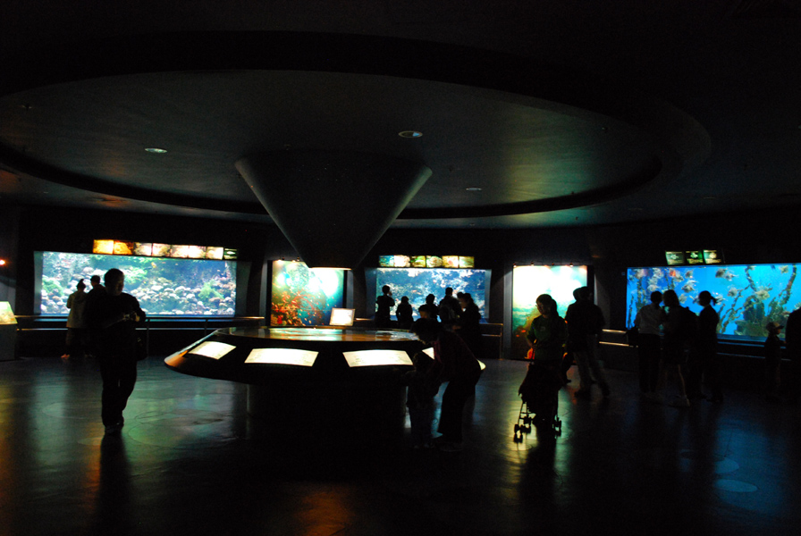 Various Exhibits at the beijing aquarium