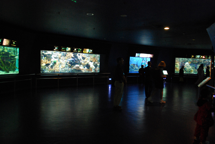Various Exhibits at the beijing aquarium