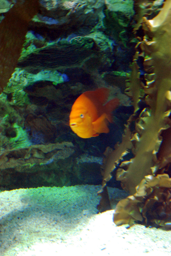 Various Exhibits at the beijing aquarium