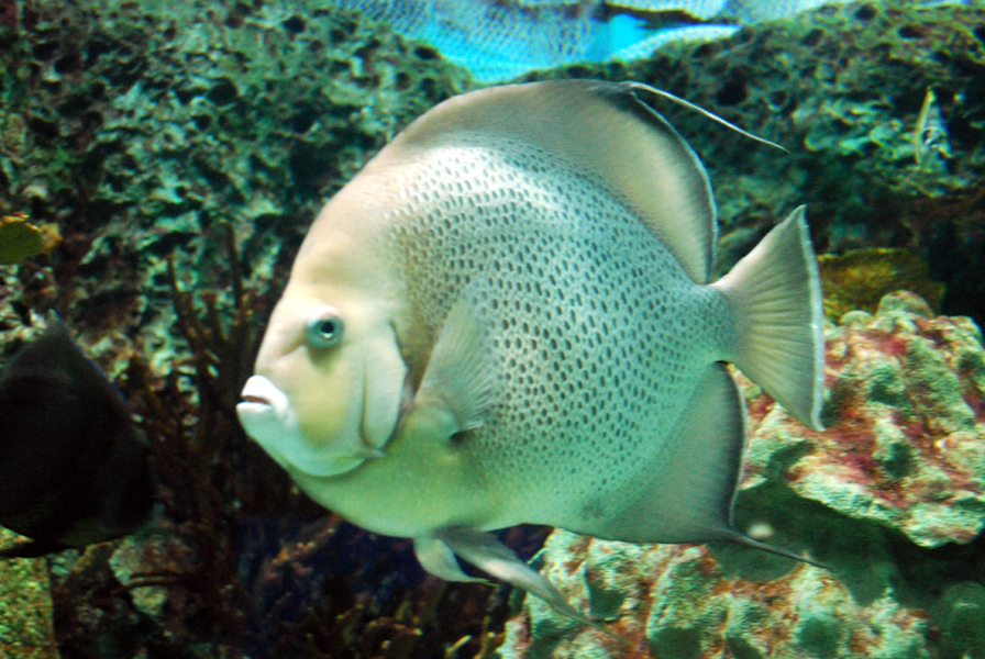 Various Exhibits at the beijing aquarium