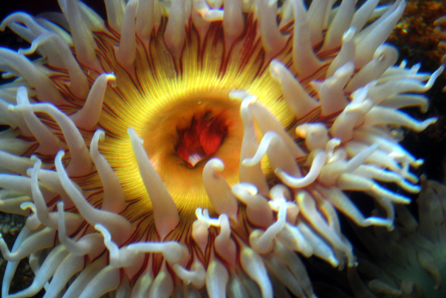 Various Exhibits at the beijing aquarium