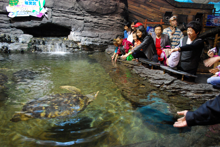 Various Exhibits at the beijing aquarium