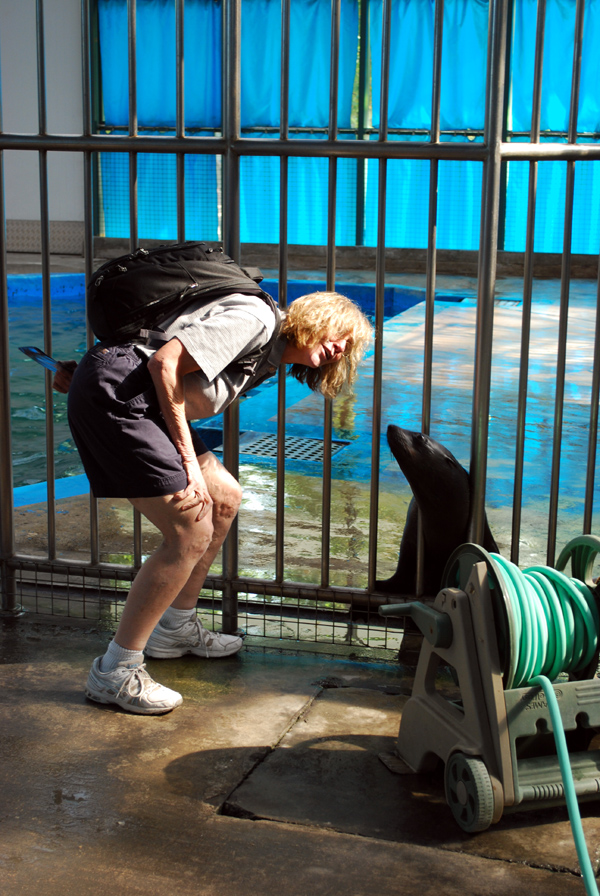 Various Exhibits at the beijing aquarium