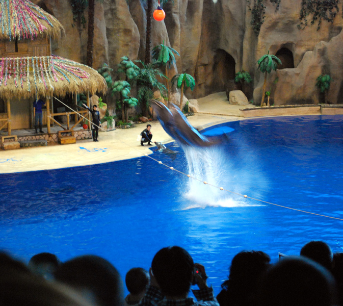 Various Exhibits at the beijing aquarium