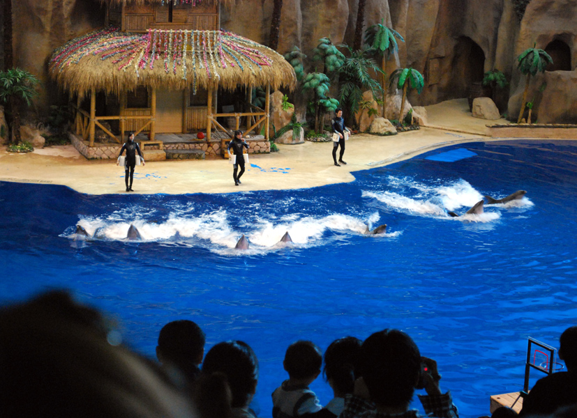 Various Exhibits at the beijing aquarium