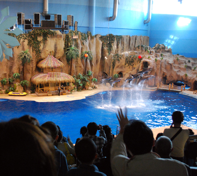 Various Exhibits at the beijing aquarium