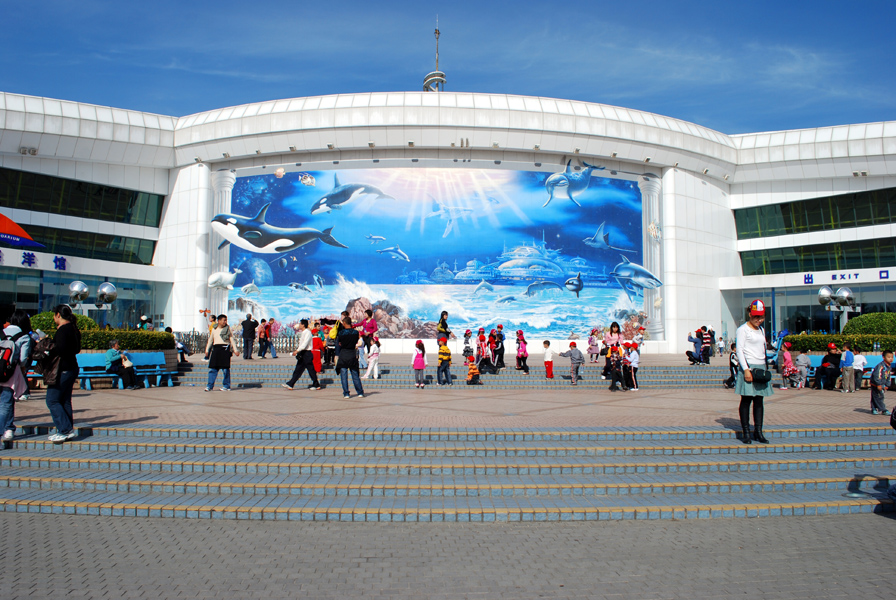 Various Exhibits at the beijing aquarium