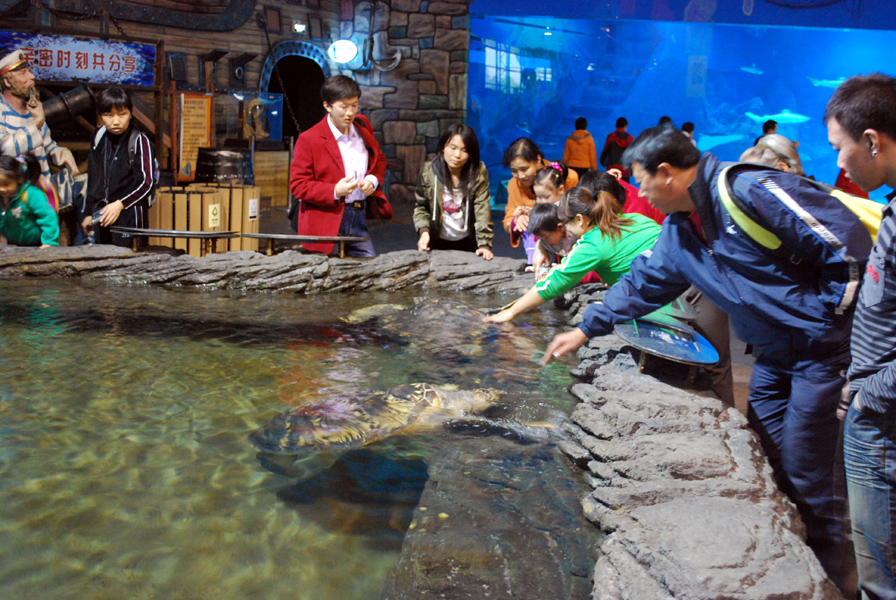 Various Exhibits at the beijing aquarium