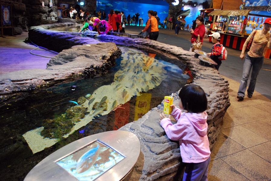 Various Exhibits at the beijing aquarium
