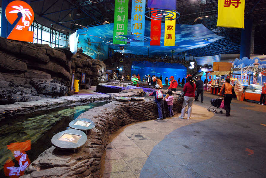 Various Exhibits at the beijing aquarium