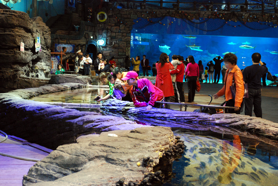 Various Exhibits at the beijing aquarium
