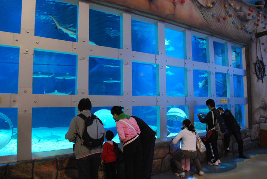 Various Exhibits at the beijing aquarium
