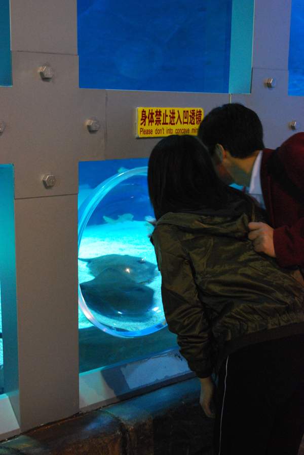 Various Exhibits at the beijing aquarium