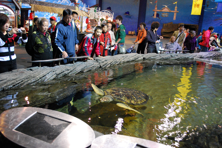 Various Exhibits at the beijing aquarium