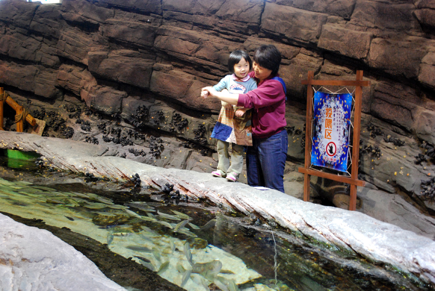 Various Exhibits at the beijing aquarium