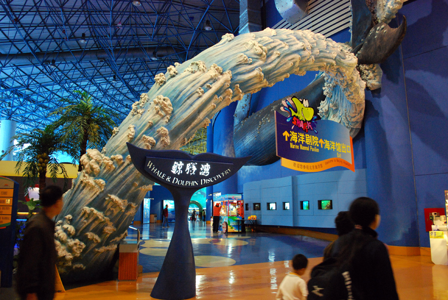 Various Exhibits at the beijing aquarium
