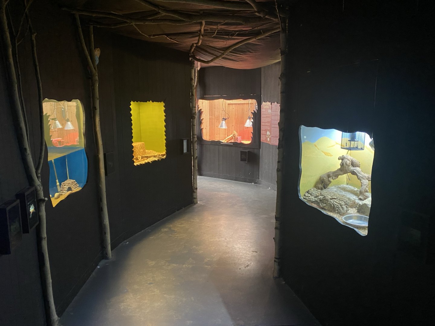 Various indoor vivarium 030821