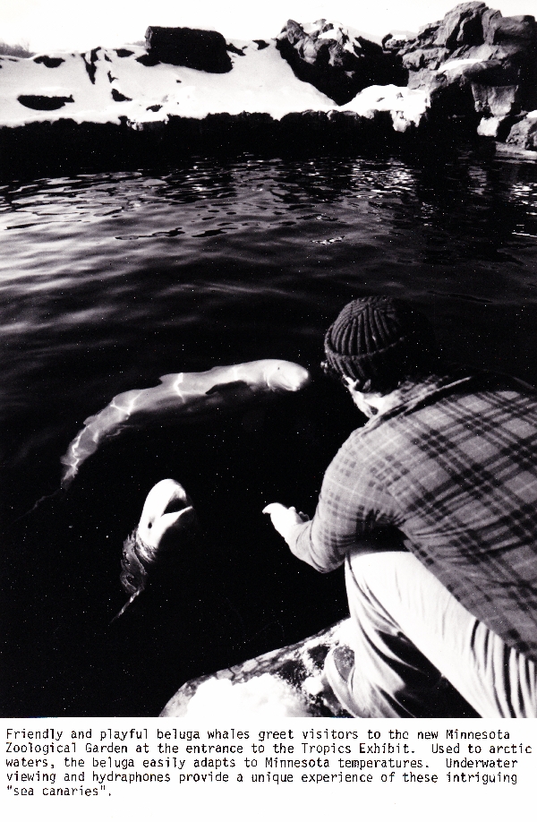 Various Minnesota Zoo in the 70's