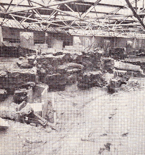 Various Minnesota Zoo in the 70's