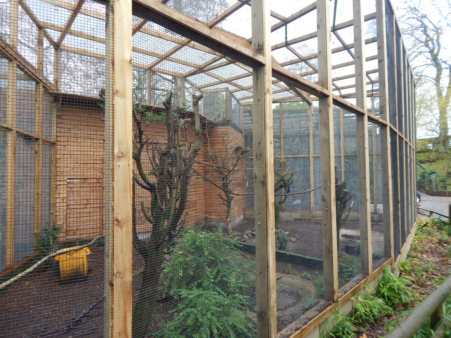 Various mixed aviaries 241122