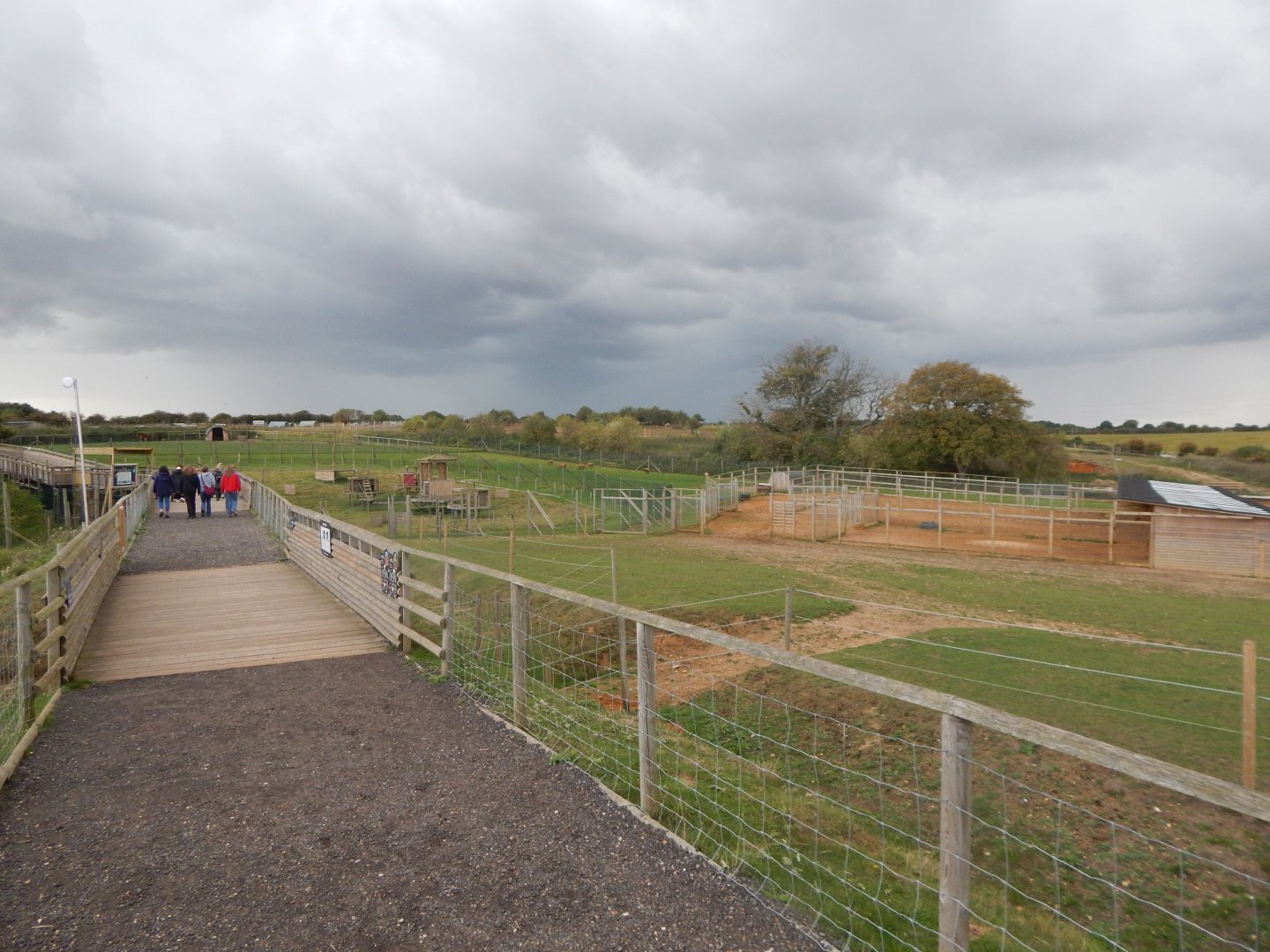 Various paddocks 130925