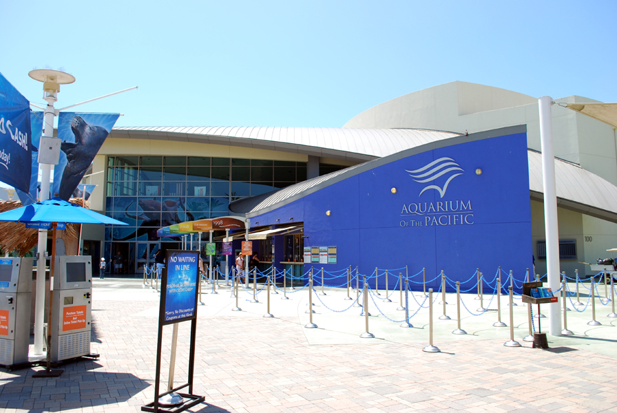 Various Pictures of Aquarium