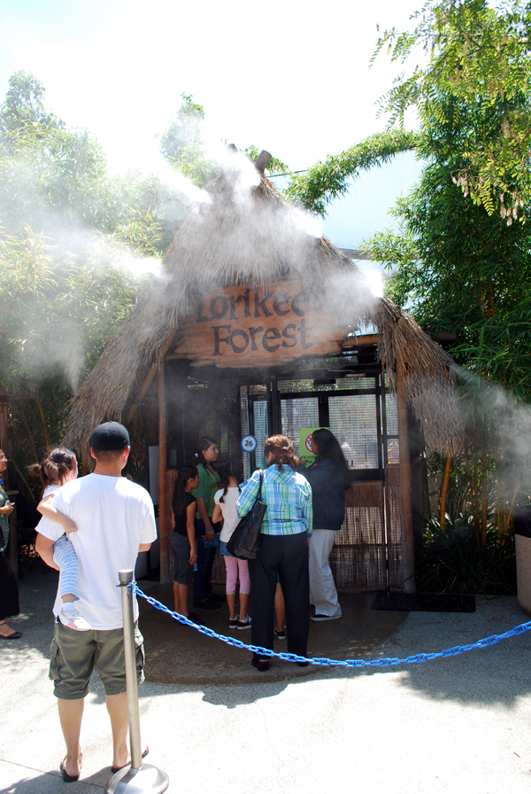 Various Pictures of Aquarium