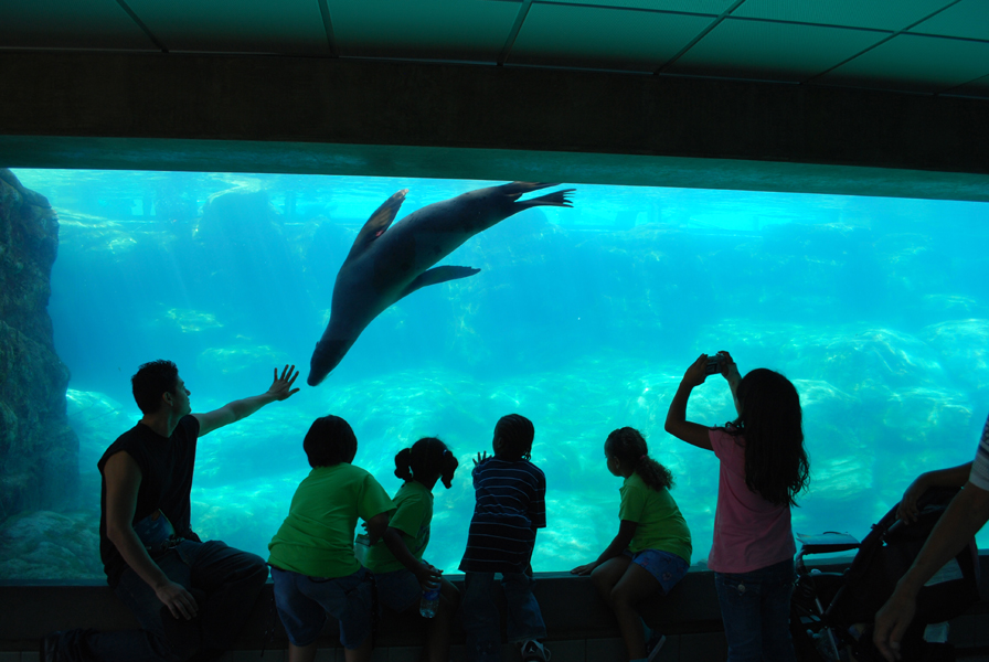 Various Pictures of Aquarium