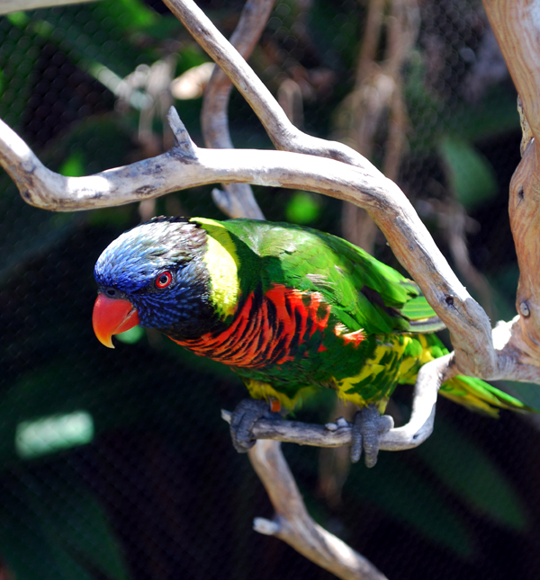 Various Pictures of Aquarium