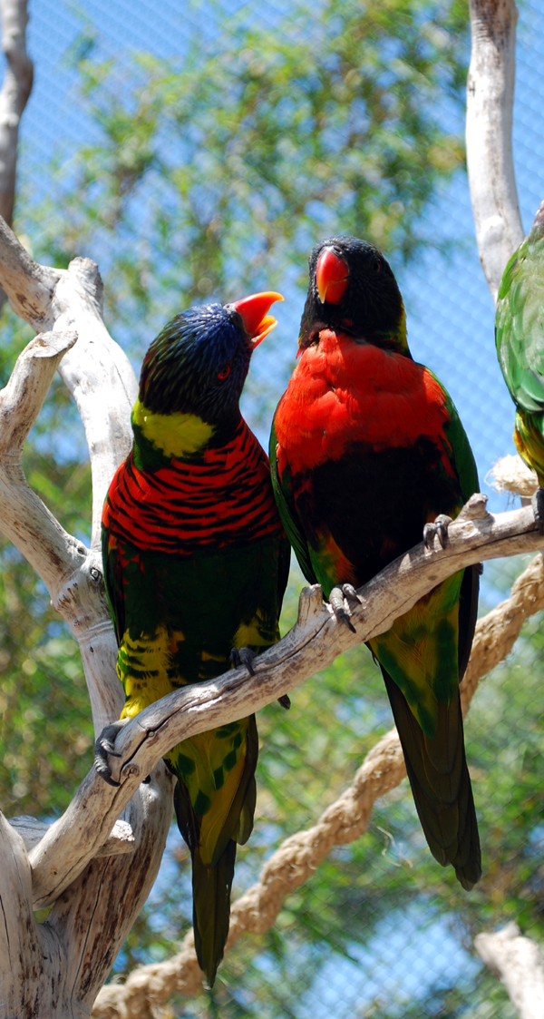 Various Pictures of Aquarium