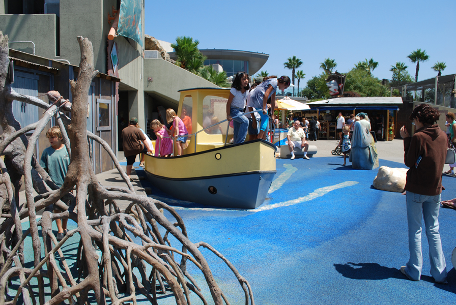 Various Pictures of Aquarium