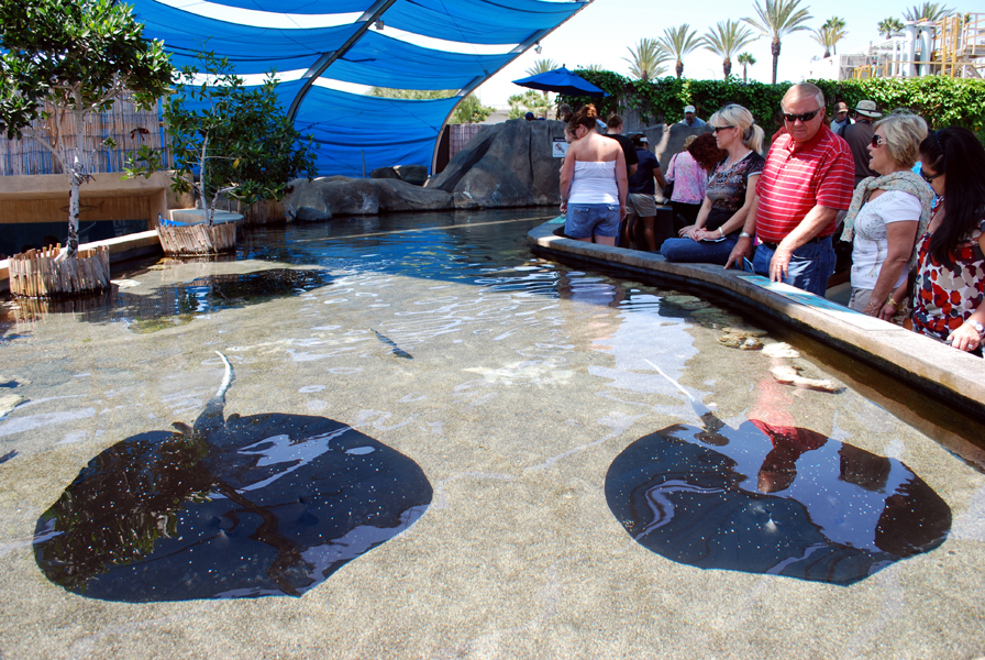 Various Pictures of Aquarium