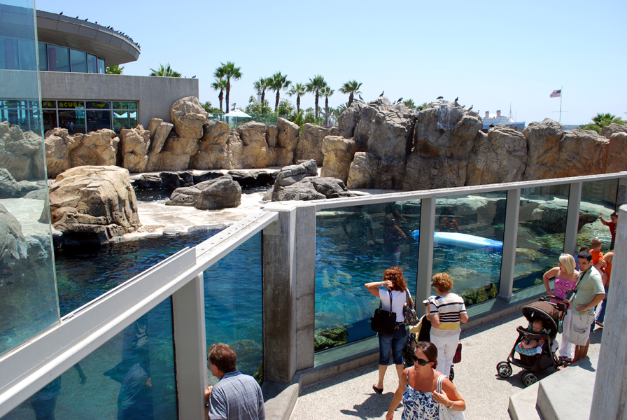 Various Pictures of Aquarium