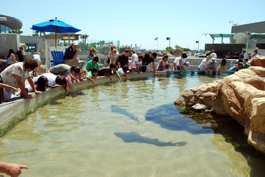 Various Pictures of Aquarium