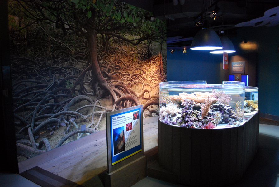 Various Pictures of Aquarium