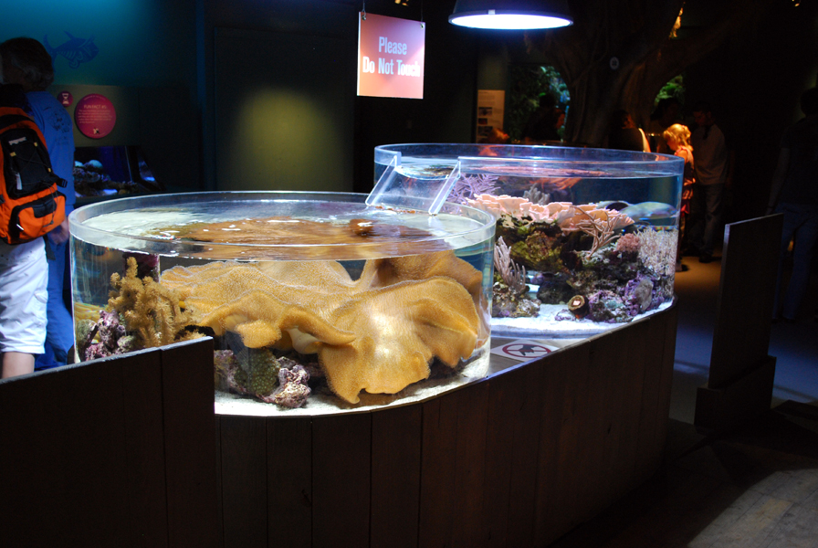 Various Pictures of Aquarium
