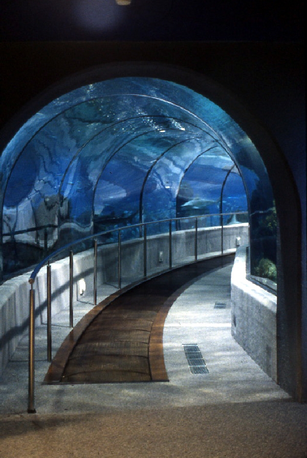 Various pictures of Barcelona