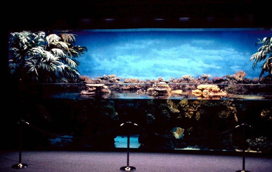 Various pictures of Barcelona