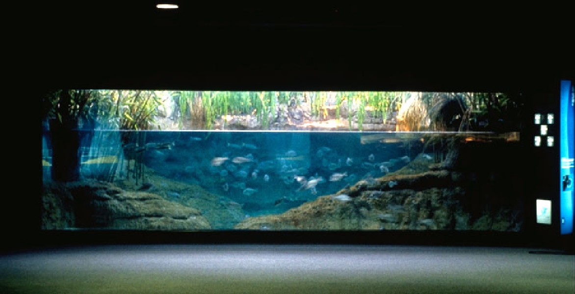 Various pictures of Barcelona