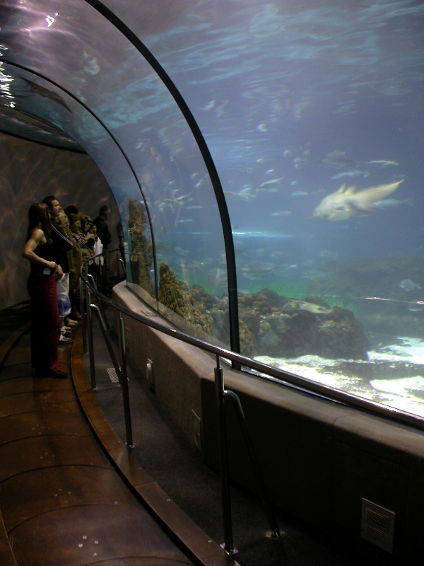 Various pictures of Barcelona