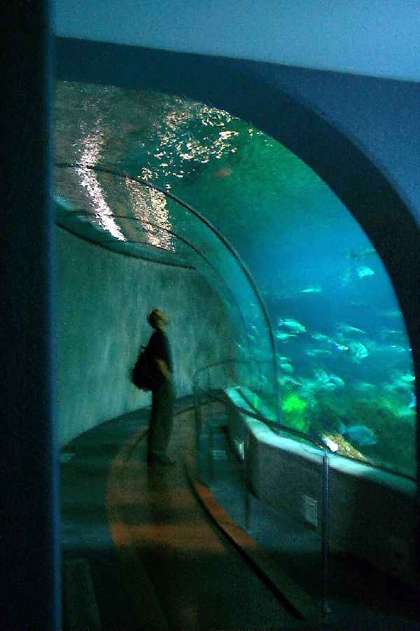 Various pictures of Barcelona